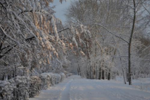 ������ ������