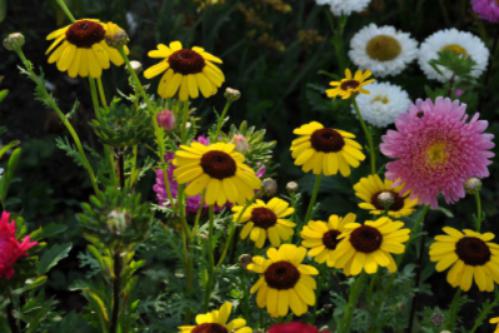 ��������� �����