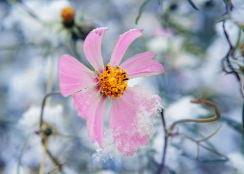 ������ ������ �������