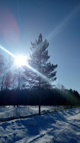 �������� ������