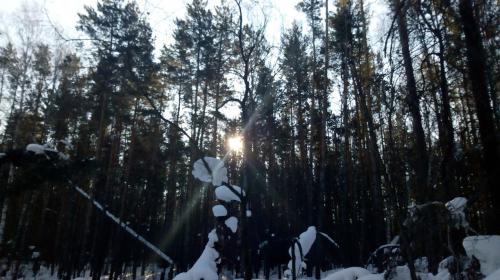 ������� ���