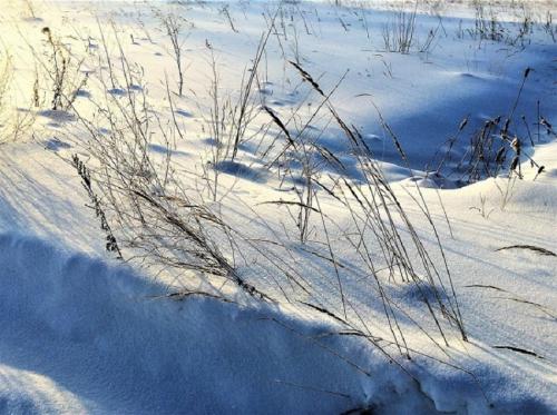 ����������� ����