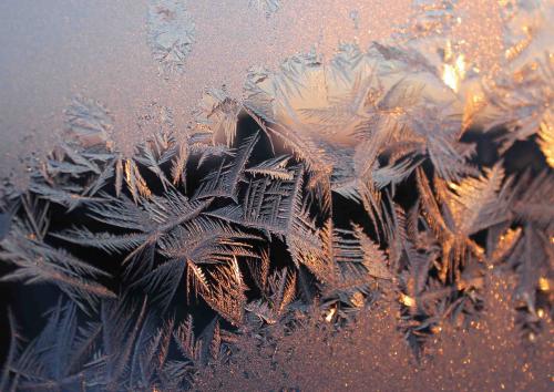 ������ �������