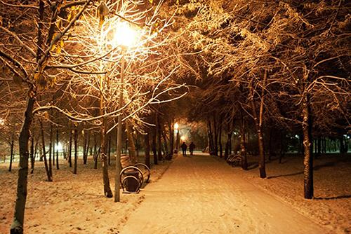 ������ ����