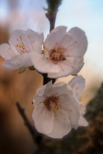 ���������� ����� �� ������