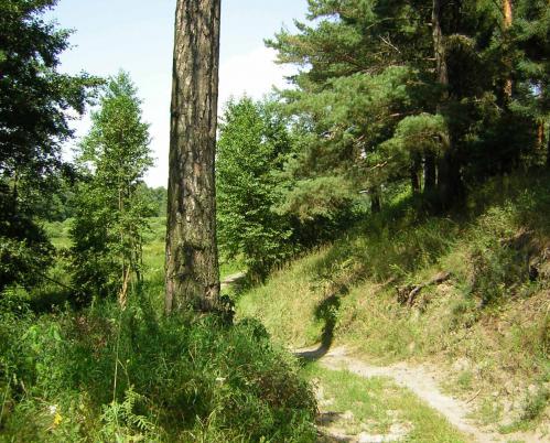 ������ �����