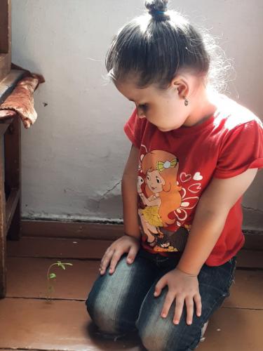 ��� ��������� ����