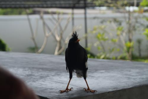 ������ ����