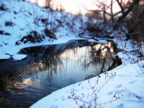 ������ ����� ������ ������ 