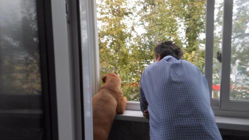 ���������� ��������