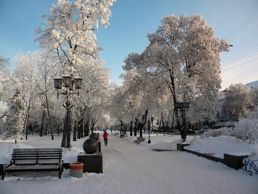 Зима в парке картинки