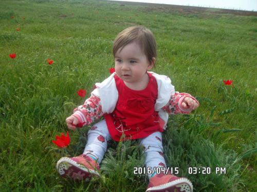 ����� ��������