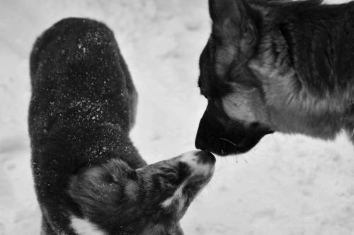 ������ ������ ���� � ��������