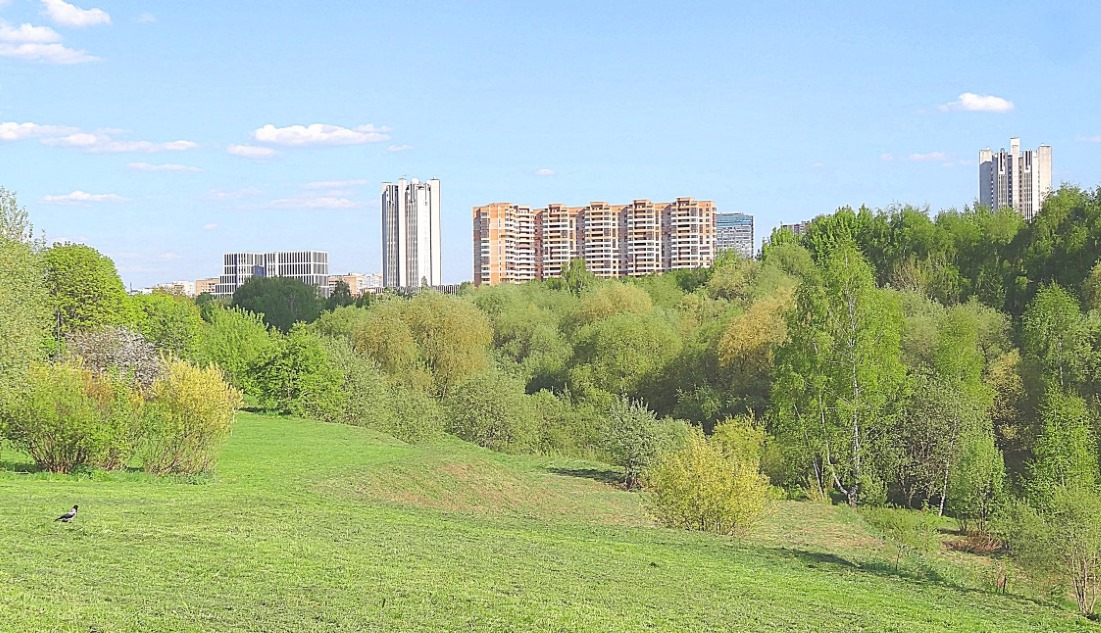 Парк 50 летия октября в москве