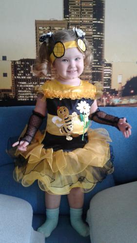 ������ ����