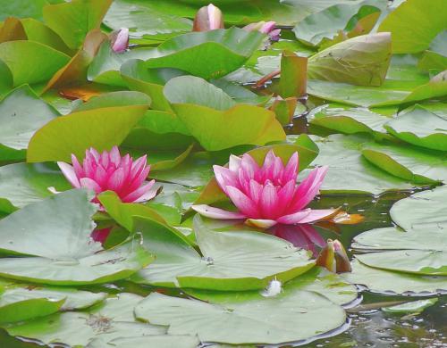 ������� ����� � ����� ����������� �����