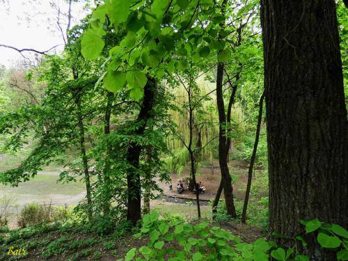 ������ ����