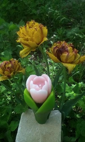 ���������� �������