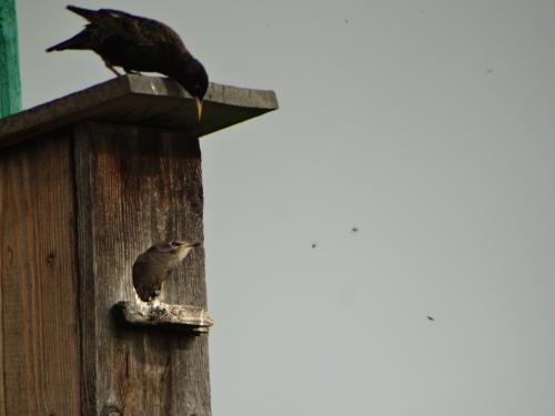 ���� � �����������