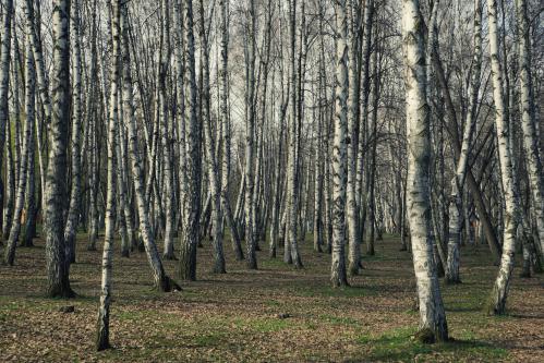 ��������� ���