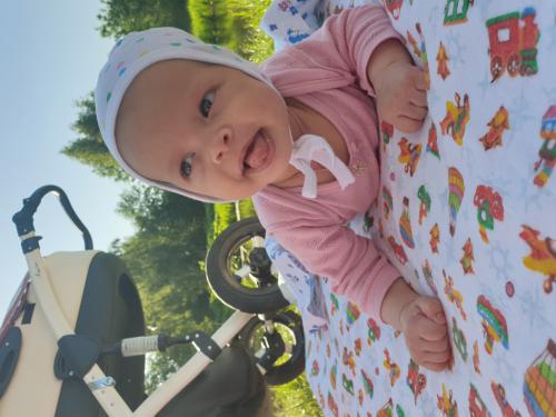 ������ ����