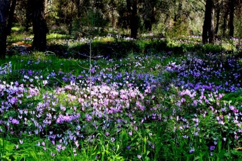 �������� ���� ����������