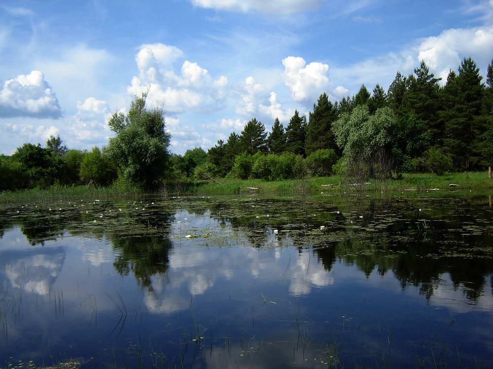 Лесное озеро мордовия