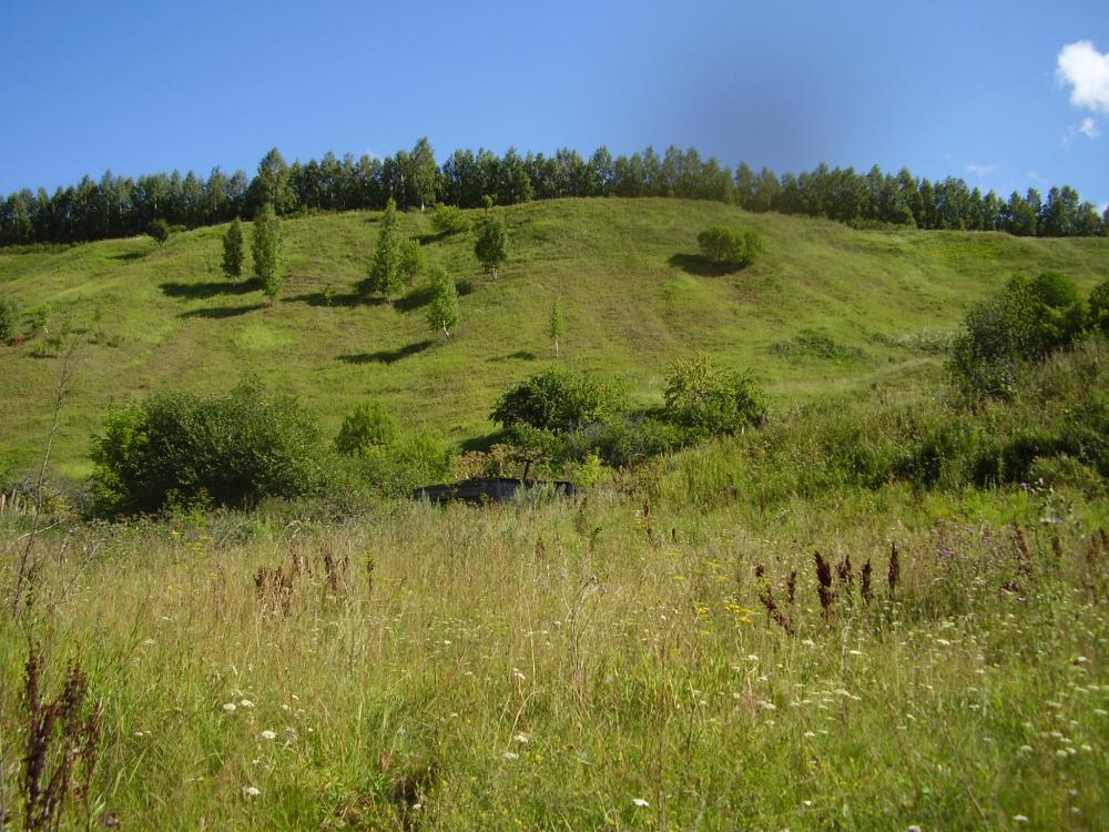 Лысая гора пермь