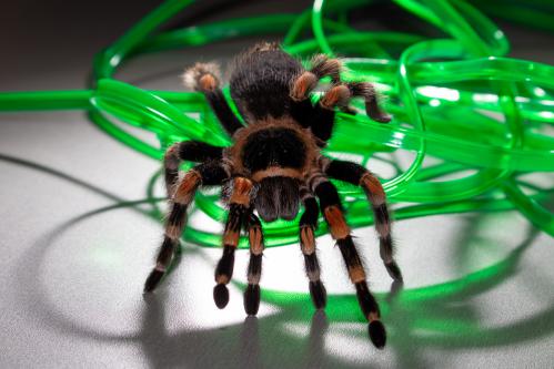 ������� ����� ��������