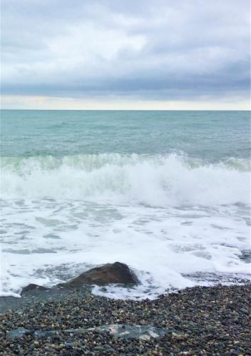 ���� ���� ������