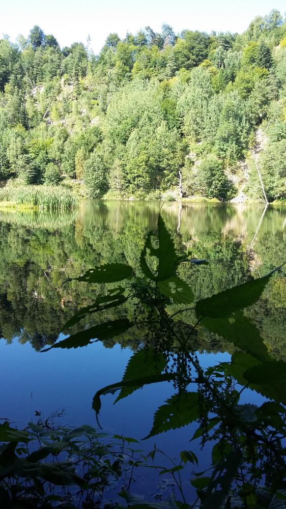 Ведьмино озеро. Ведьмино озеро на Самарской луке. Ведьмино озеро Мостовской. Лабинский район ведьмино озеро.