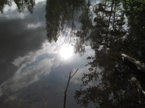 ��������� ���