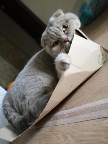 ������