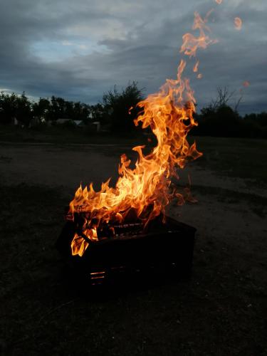 ���� ����