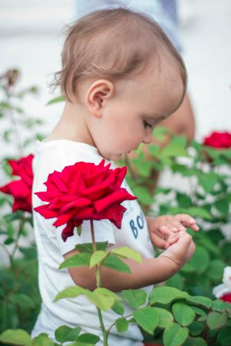 ������� �� ����