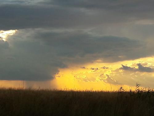 ������� �����