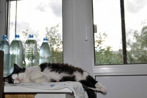 ��� ����, ��� � ����)