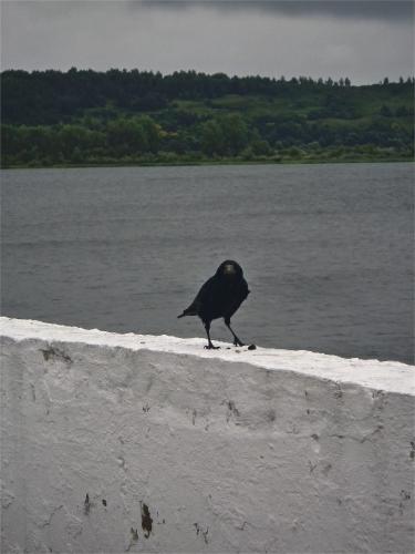 ���� �������� � ���