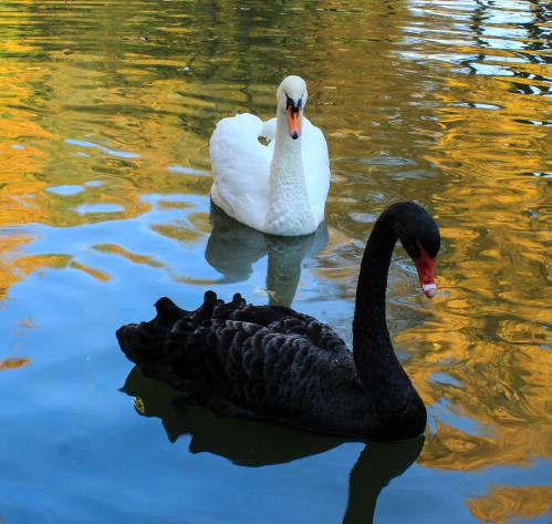 ��� � ���