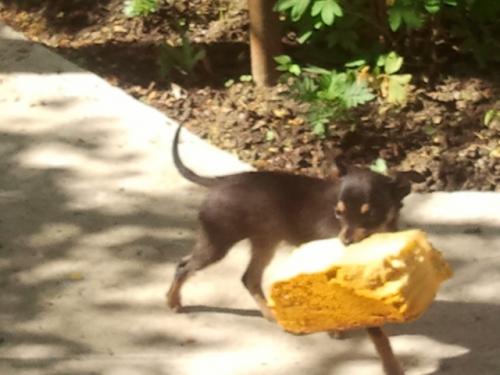 �� ����,��� ������������