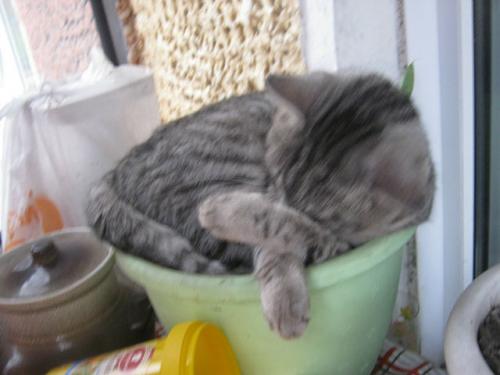 ��� ���� ��� � ����