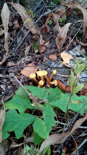 �������� �� ����