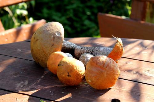 � ���������� �������