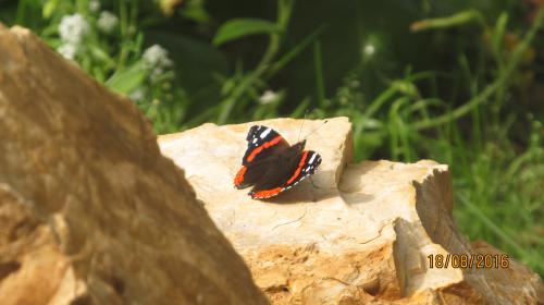 �� �������