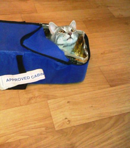 �������� � ������??