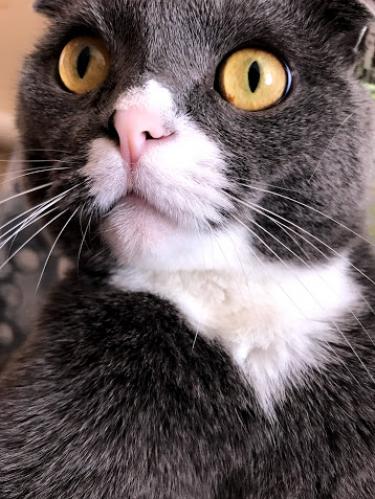 ������ �����