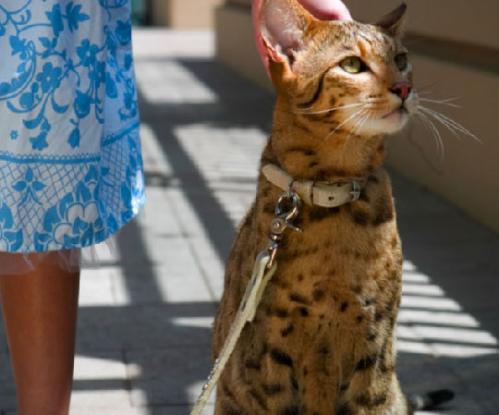 ������� 2