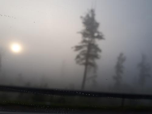 �������� ����