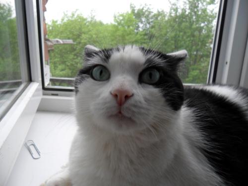  ? ?