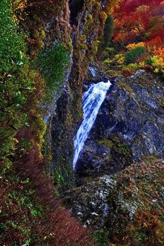 ������� ��� � ���������